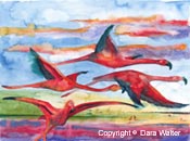 Sunset Flight copyright © 2003 Dara Walter