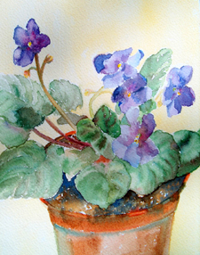 African Violets Copyright (c) 2004 Dara Walter